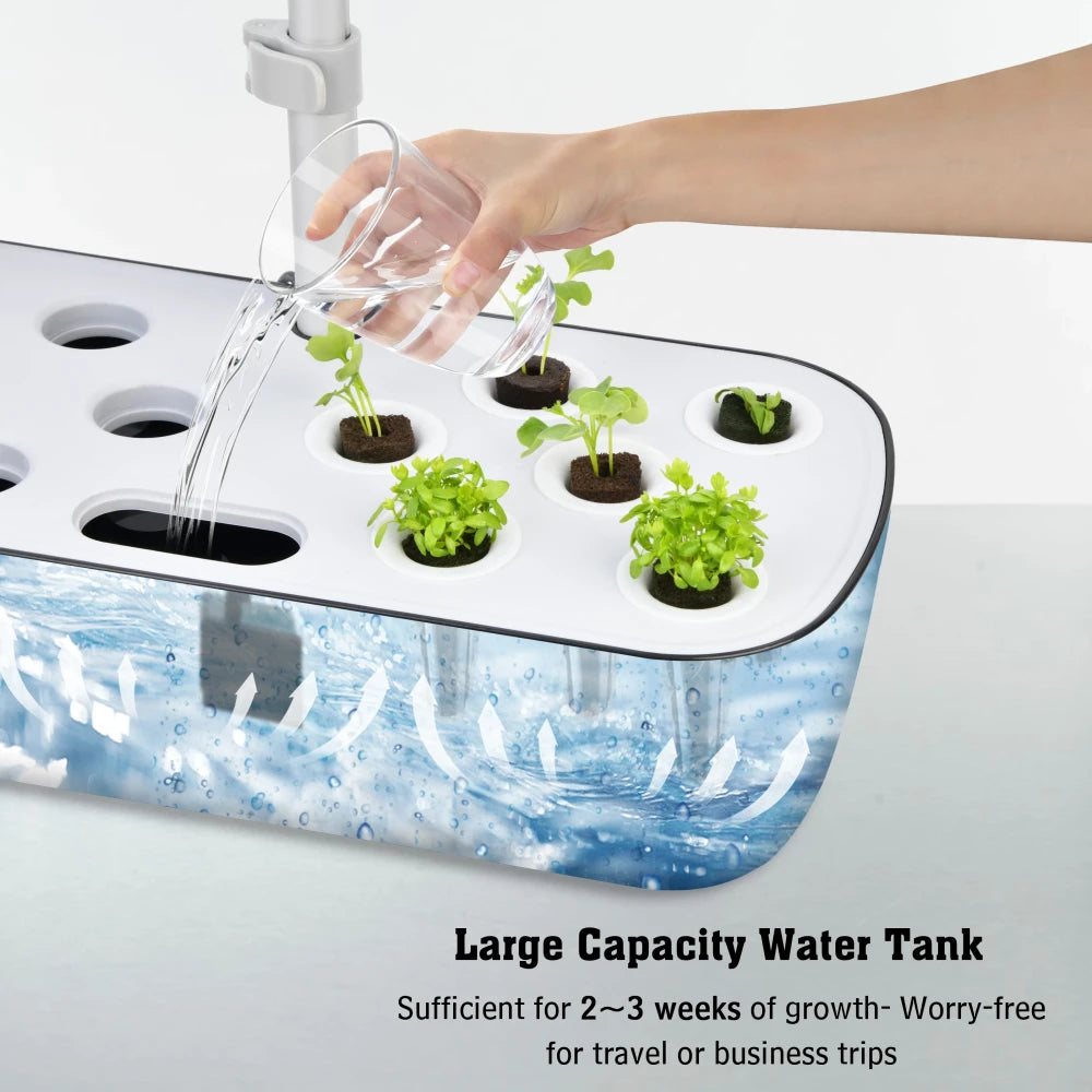 Indoor Hydroponic Herb Garden