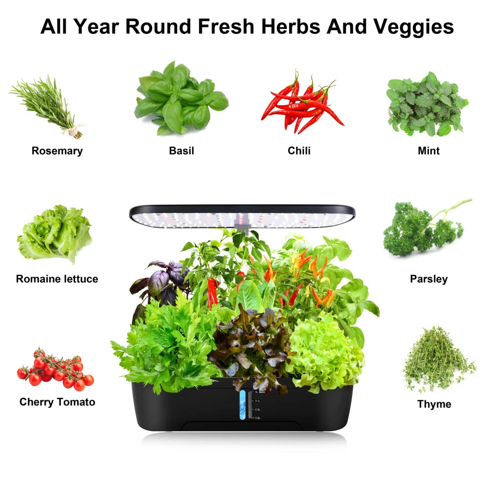 Indoor Hydroponic Herb Garden