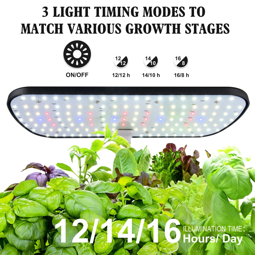 Indoor Hydroponic Herb Garden