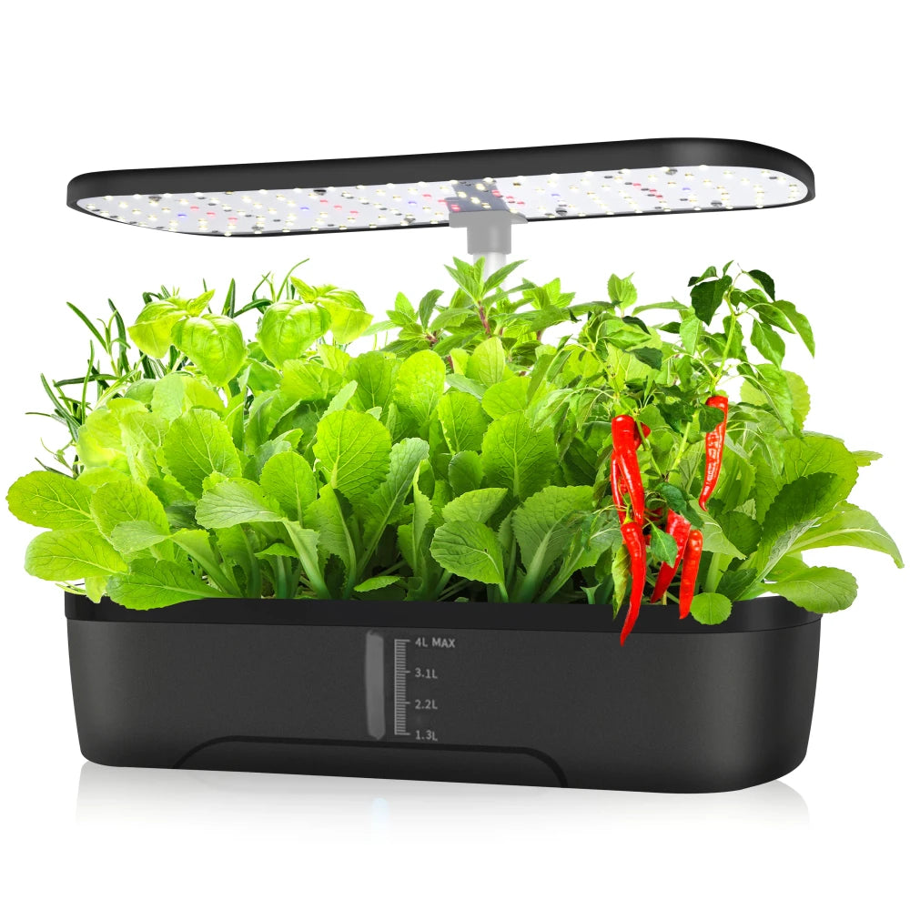 Indoor Hydroponic Herb Garden